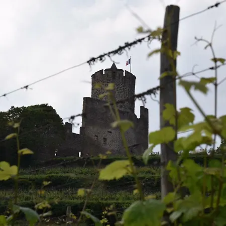 Le Brin D'osier * كايزرسبرغ