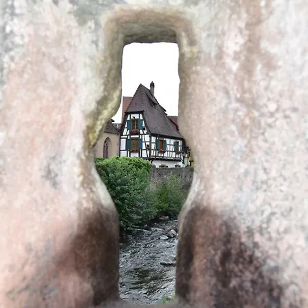 Apartment Le Brin D'osier Kaysersberg-Vignoble