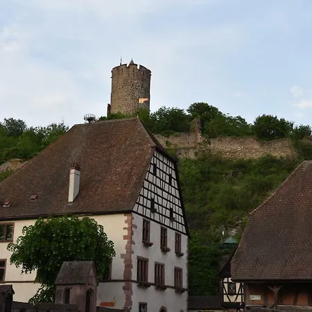Apartment Le Brin D'osier Kaysersberg-Vignoble